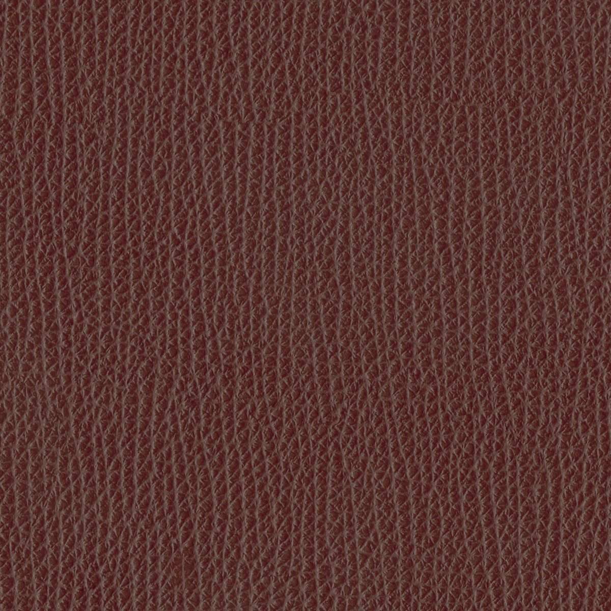 142077
