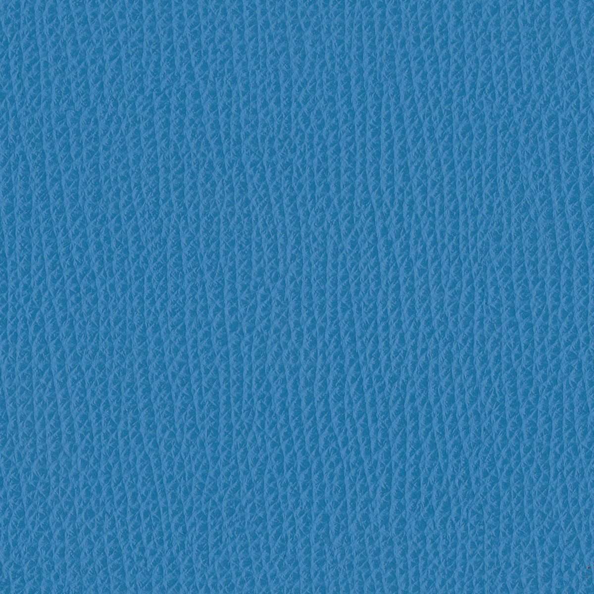 142077