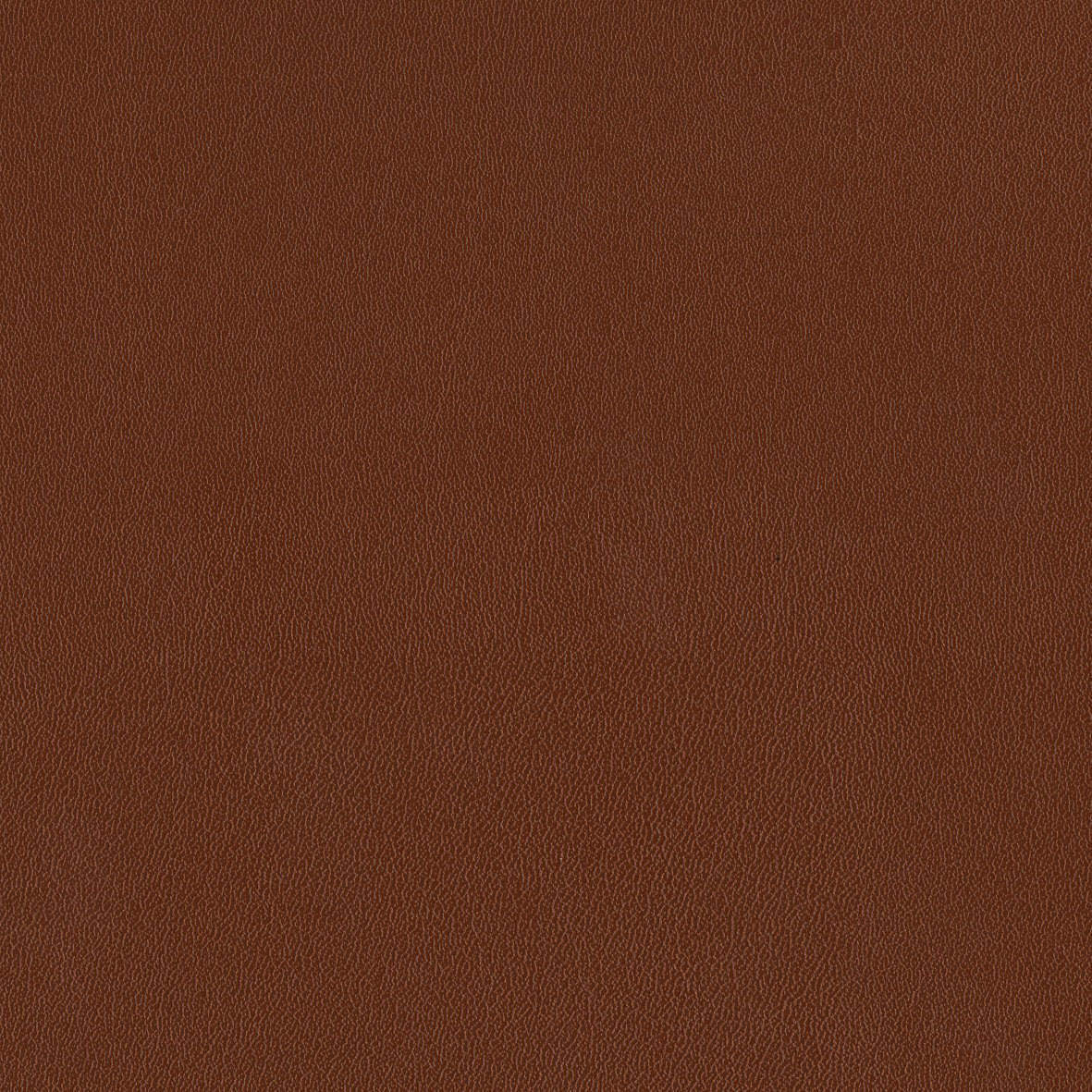 142034