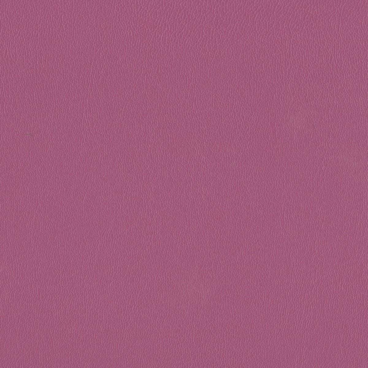 142034