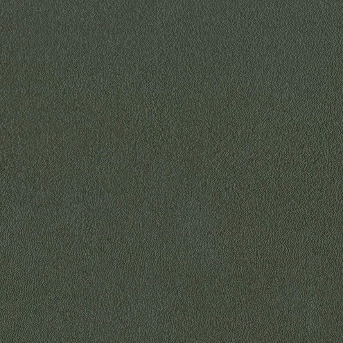 142034