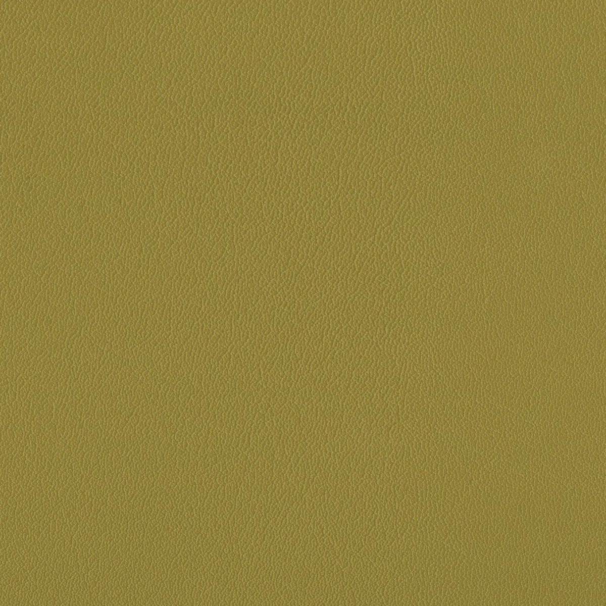 142034