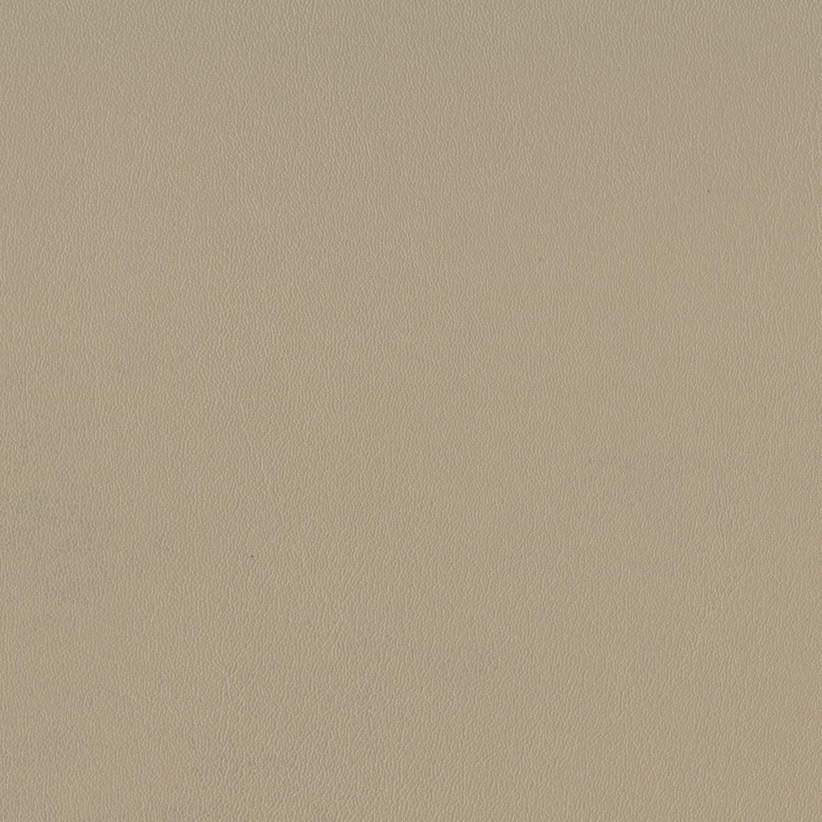 142034