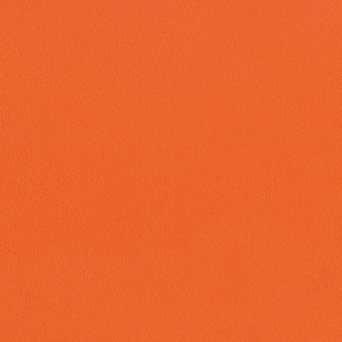 142034